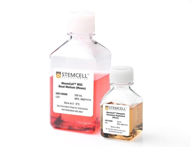 KYOUGOKU Stem Cell 10パック beautiful-marche_25123002-473